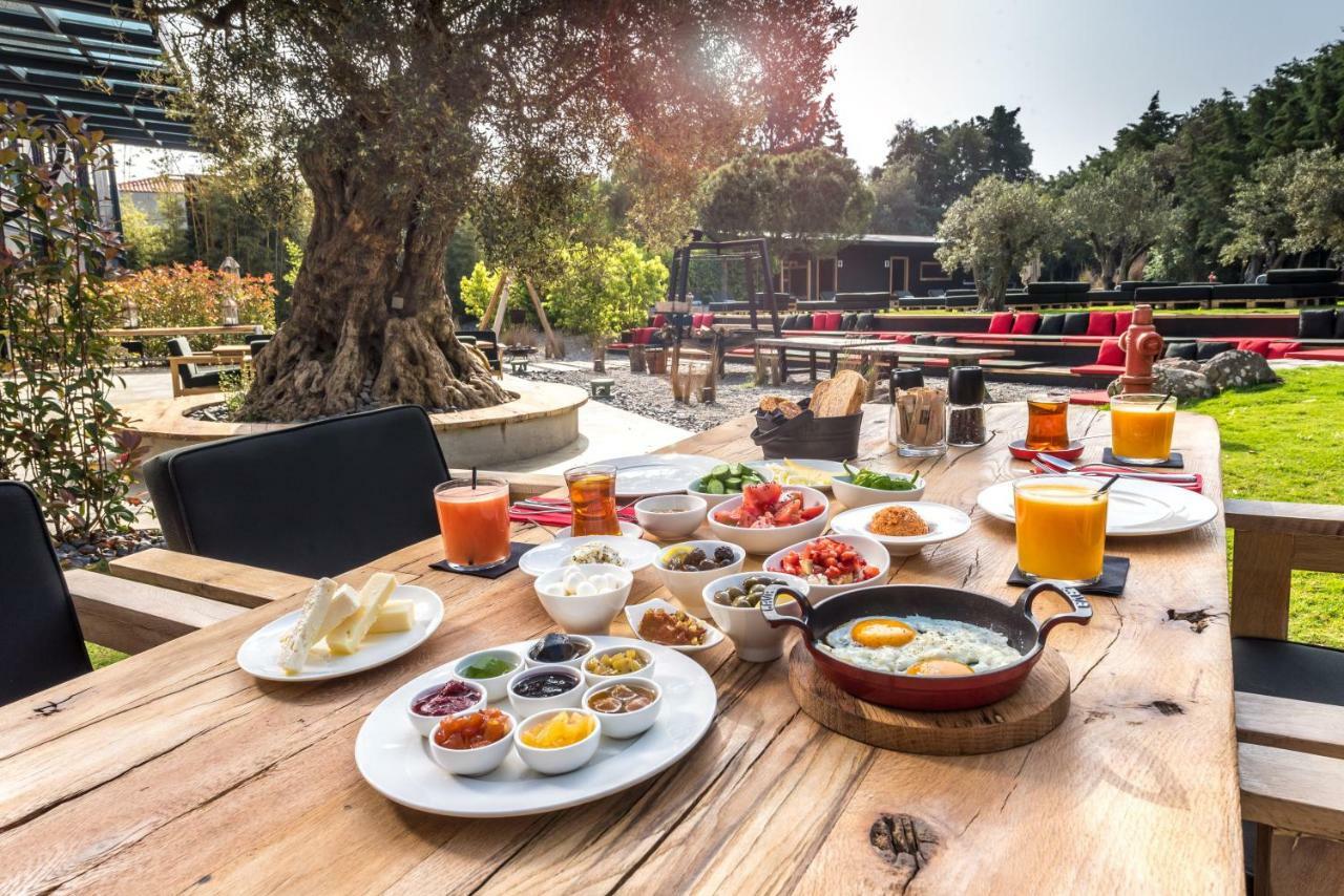 Warehouse By The Stay (Adults Only) อาเลอเจอติ ภายนอก รูปภาพ