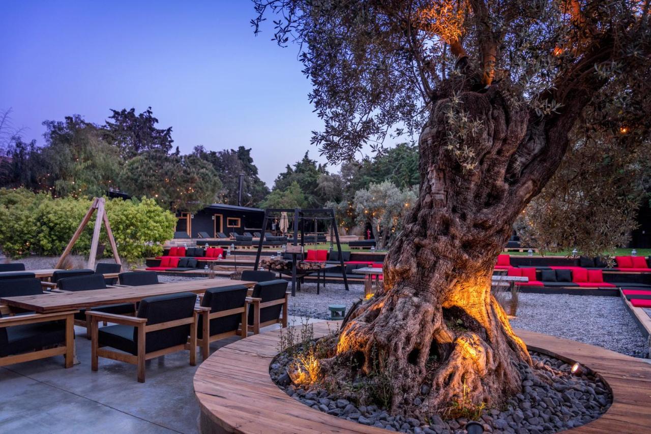 Warehouse By The Stay (Adults Only) อาเลอเจอติ ภายนอก รูปภาพ